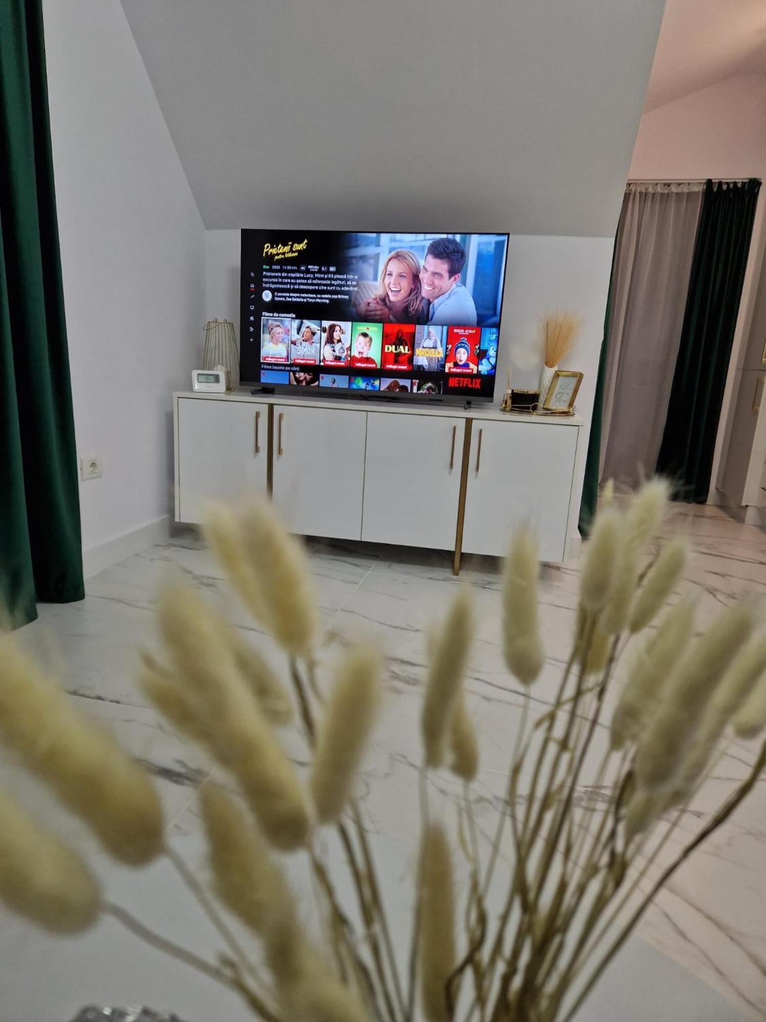 Gold Tag Apartament Timisoara Luaran gambar